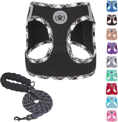 Reflective Step-In Dog Harness and Leash Set, XS-XL