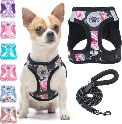 Reflective Step-In Dog Harness and Leash Set, XS-XL