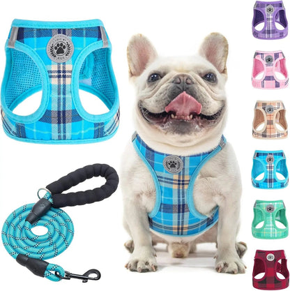 Reflective Step-In Dog Harness and Leash Set, XS-XL