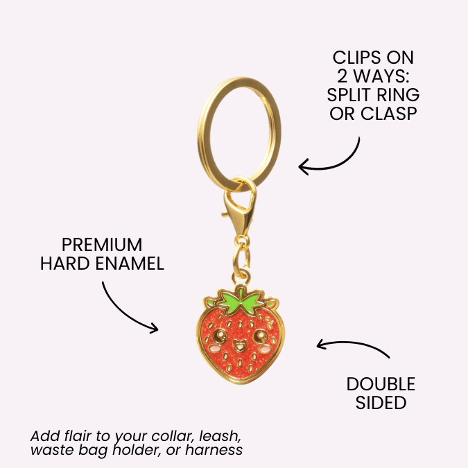 Strawberry Dog Collar Charm — additional photo 3