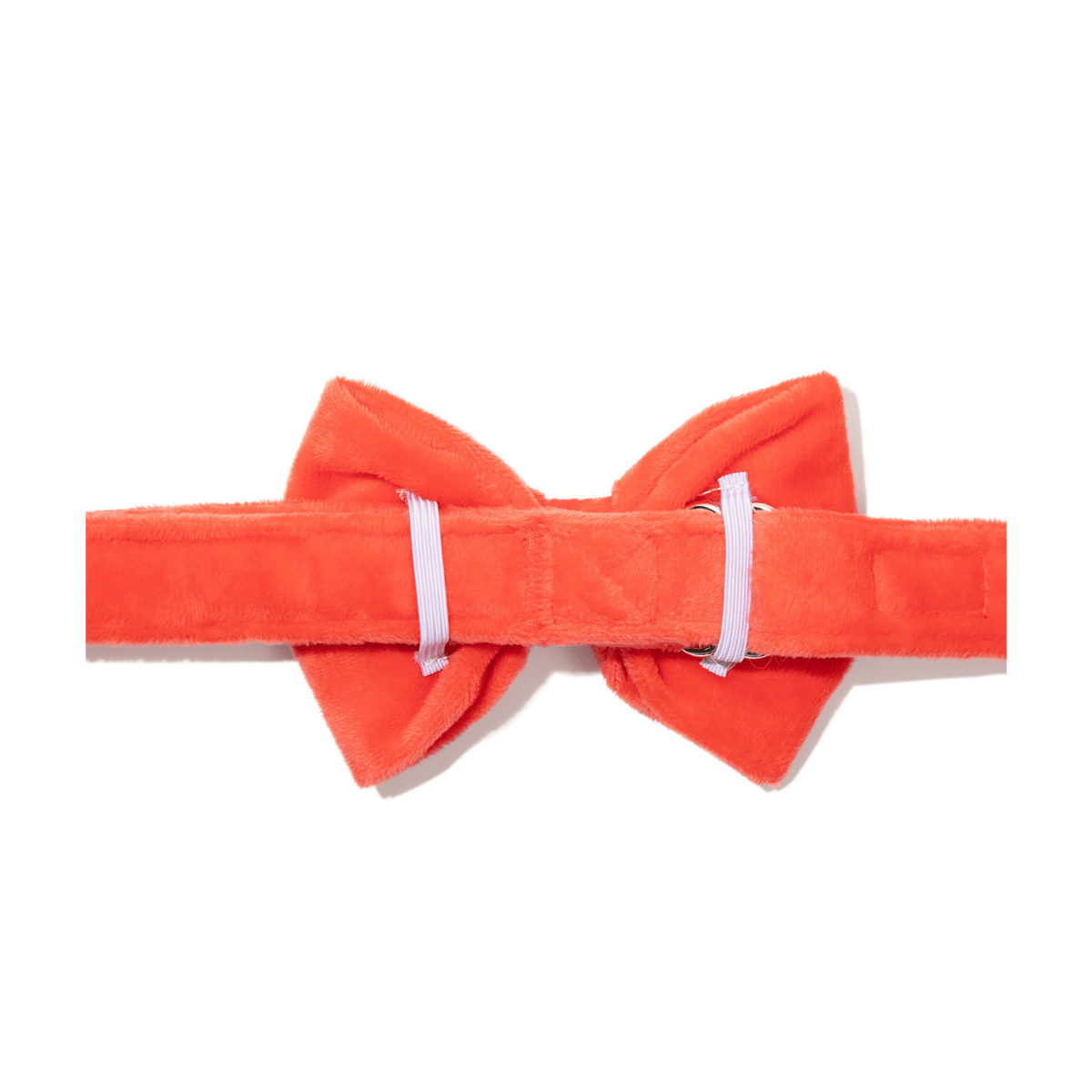 Suki dog bow tie — additional photo 2