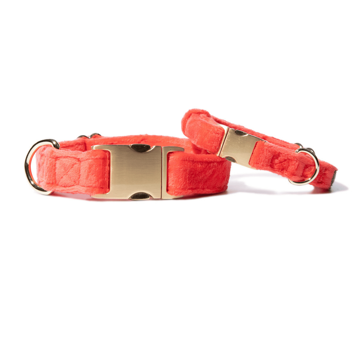 Suki – Red Dog Collar, Adjustable XS–L