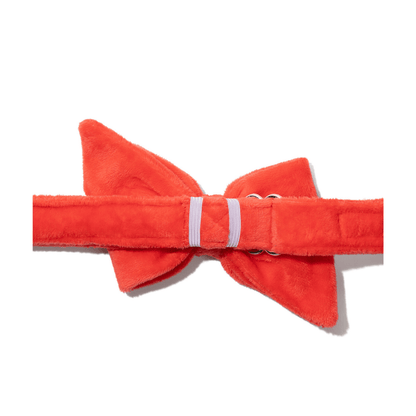 Suki dog babe bow — additional photo 2