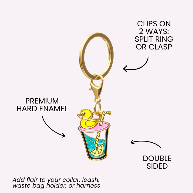 Summer Drink & Seahorse Dog Collar Charm Set — additional photo 6