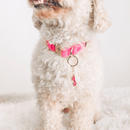 Sunglasses Dog Collar Charm — additional photo 2