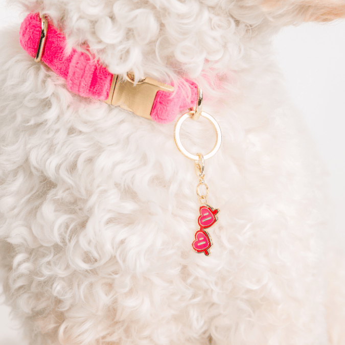 Sunglasses Dog Collar Charm — additional photo 3