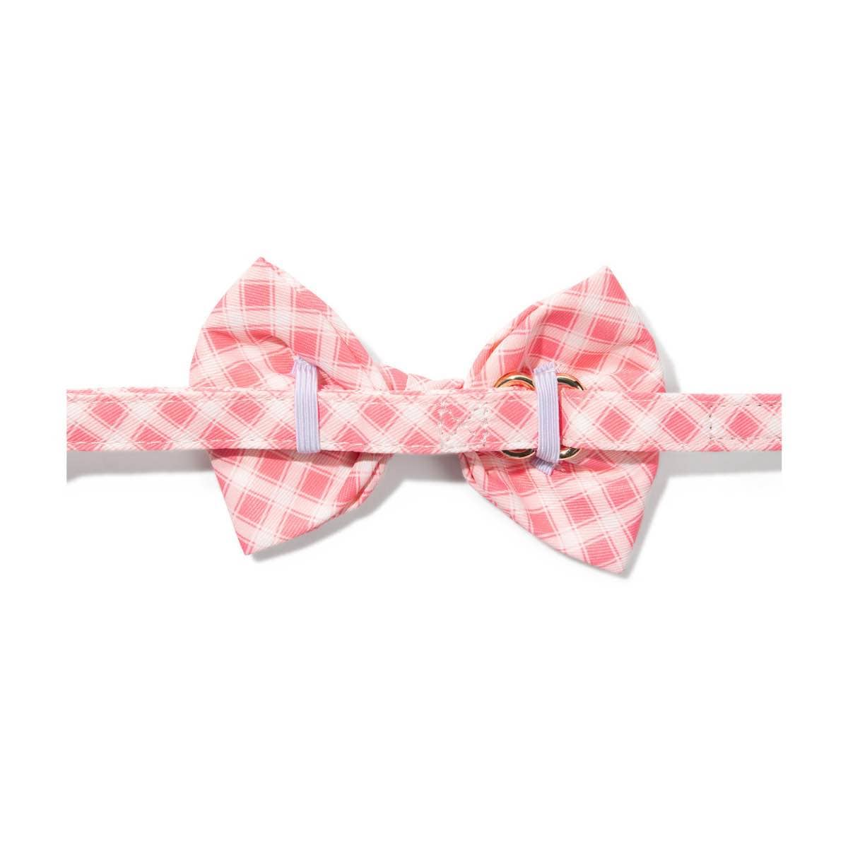 Sutton dog bow tie — additional photo 2
