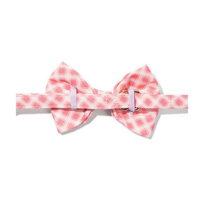 Sutton dog bow tie — additional photo 2