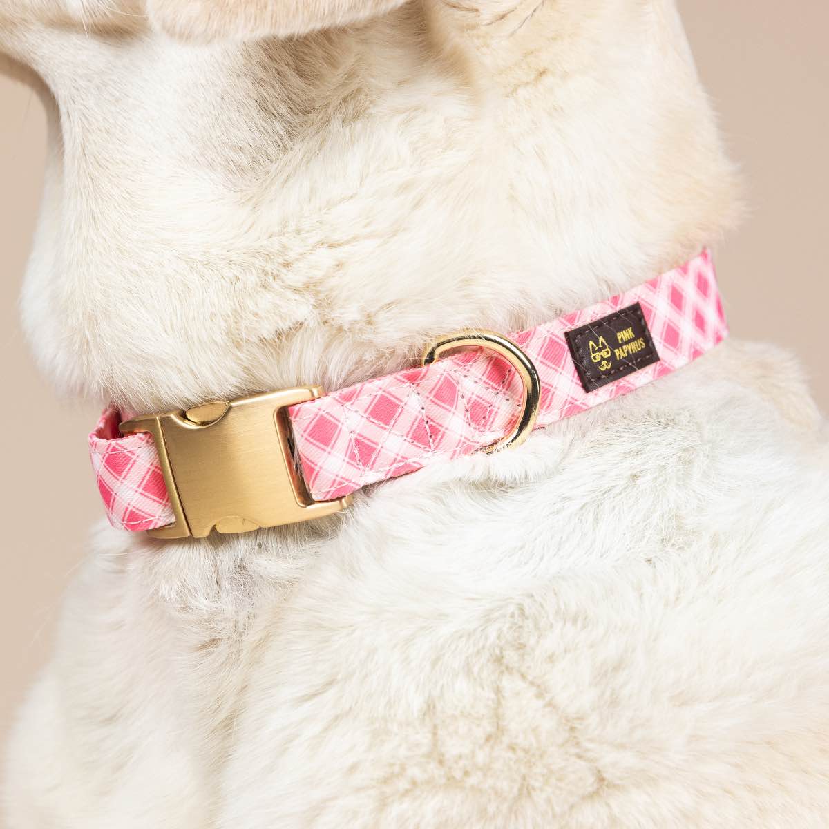 Sutton dog collar — additional photo 4