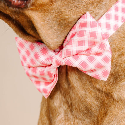 Sutton dog bow tie — additional photo 4