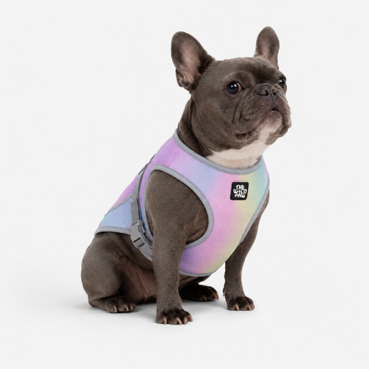 WildBreeze Cooling Vest