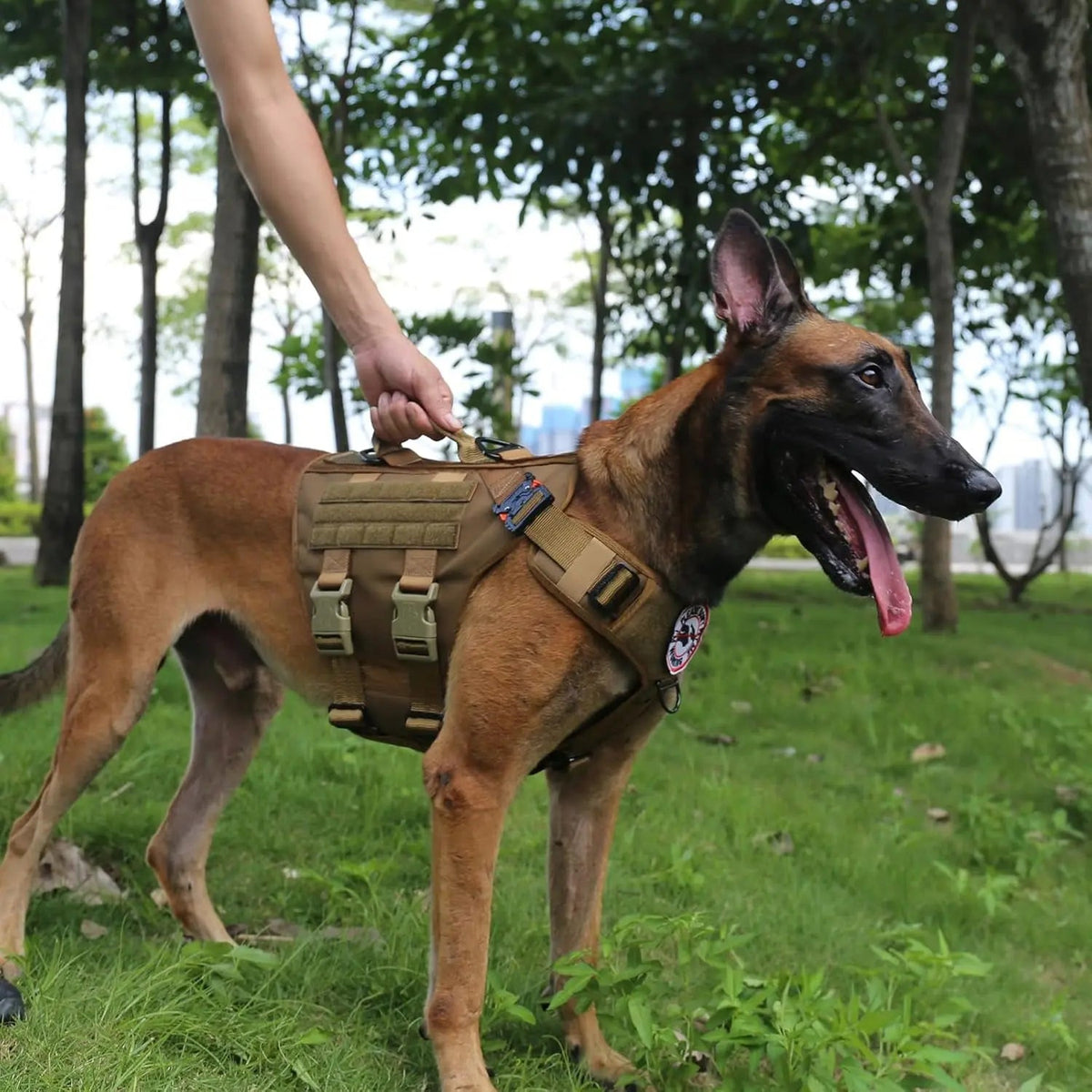 6-Buckle MOLLE Tactical Dog Harness, 3/4 Coverage