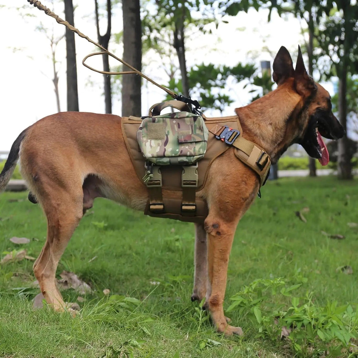 6-Buckle MOLLE Tactical Dog Harness, 3/4 Coverage