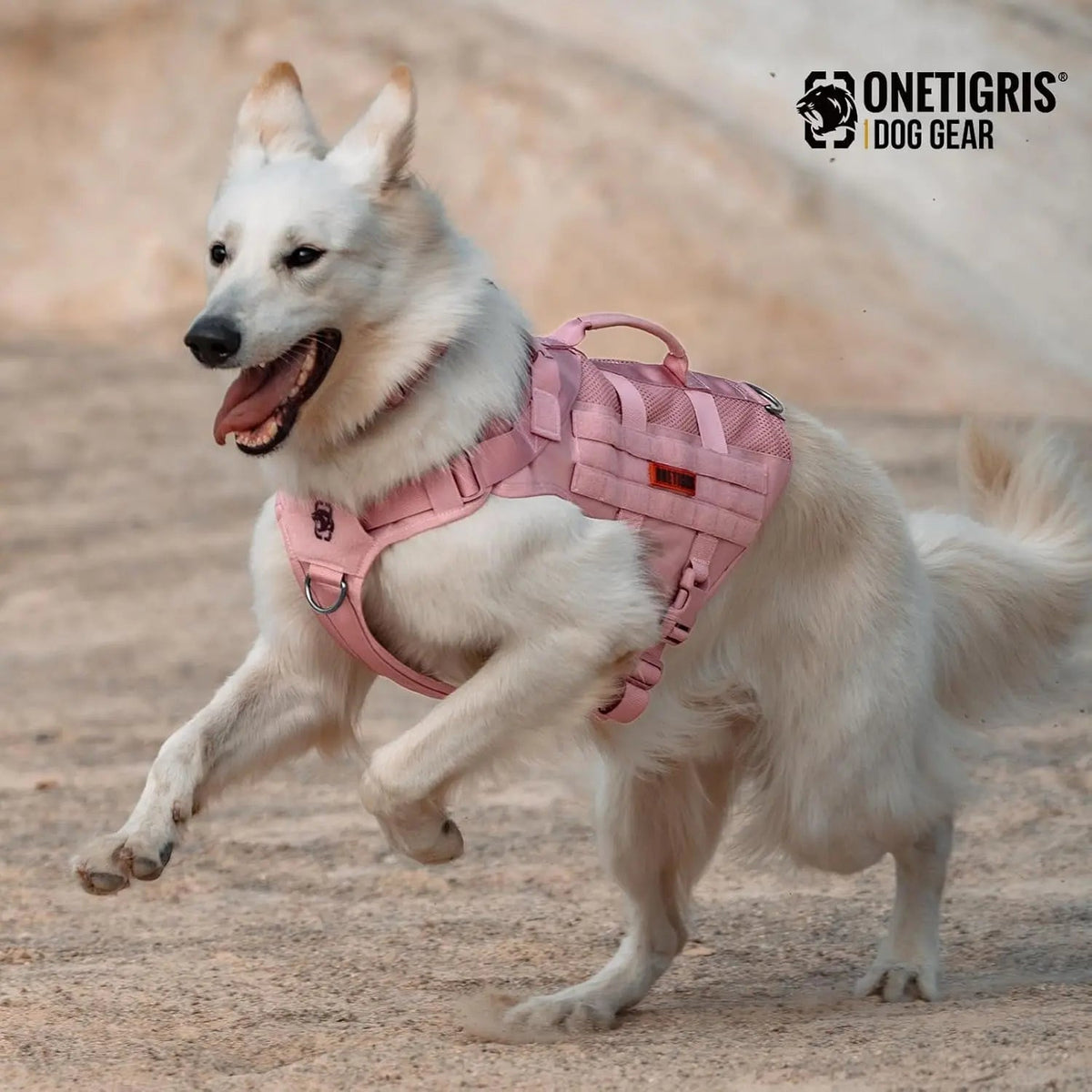 Breathable Mesh Tactical Dog Harness with Handles, S-XL