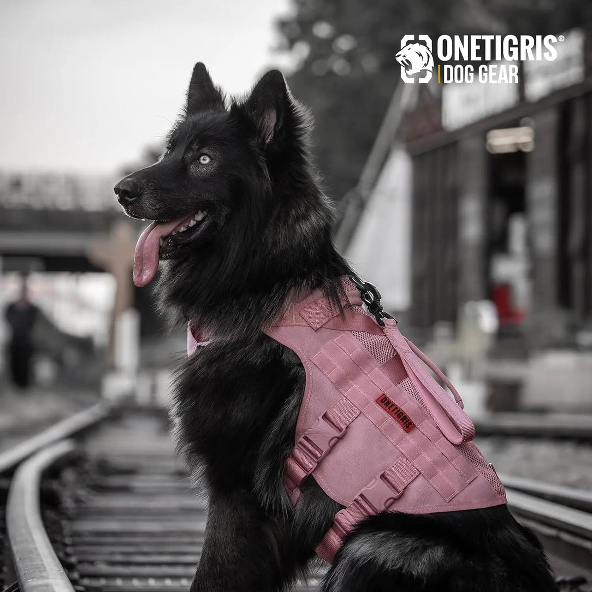 Breathable Mesh Tactical Dog Harness with Handles, S-XL