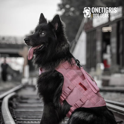Breathable Mesh Tactical Dog Harness with Handles, S-XL