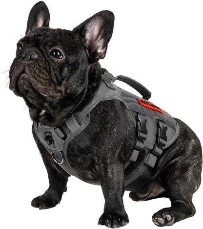 Breathable Mesh Tactical Dog Harness with Handles, S-XL