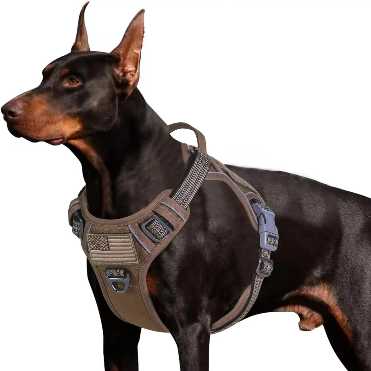 Tactical No-Pull Dog Harness with Handle and Reflective Trim