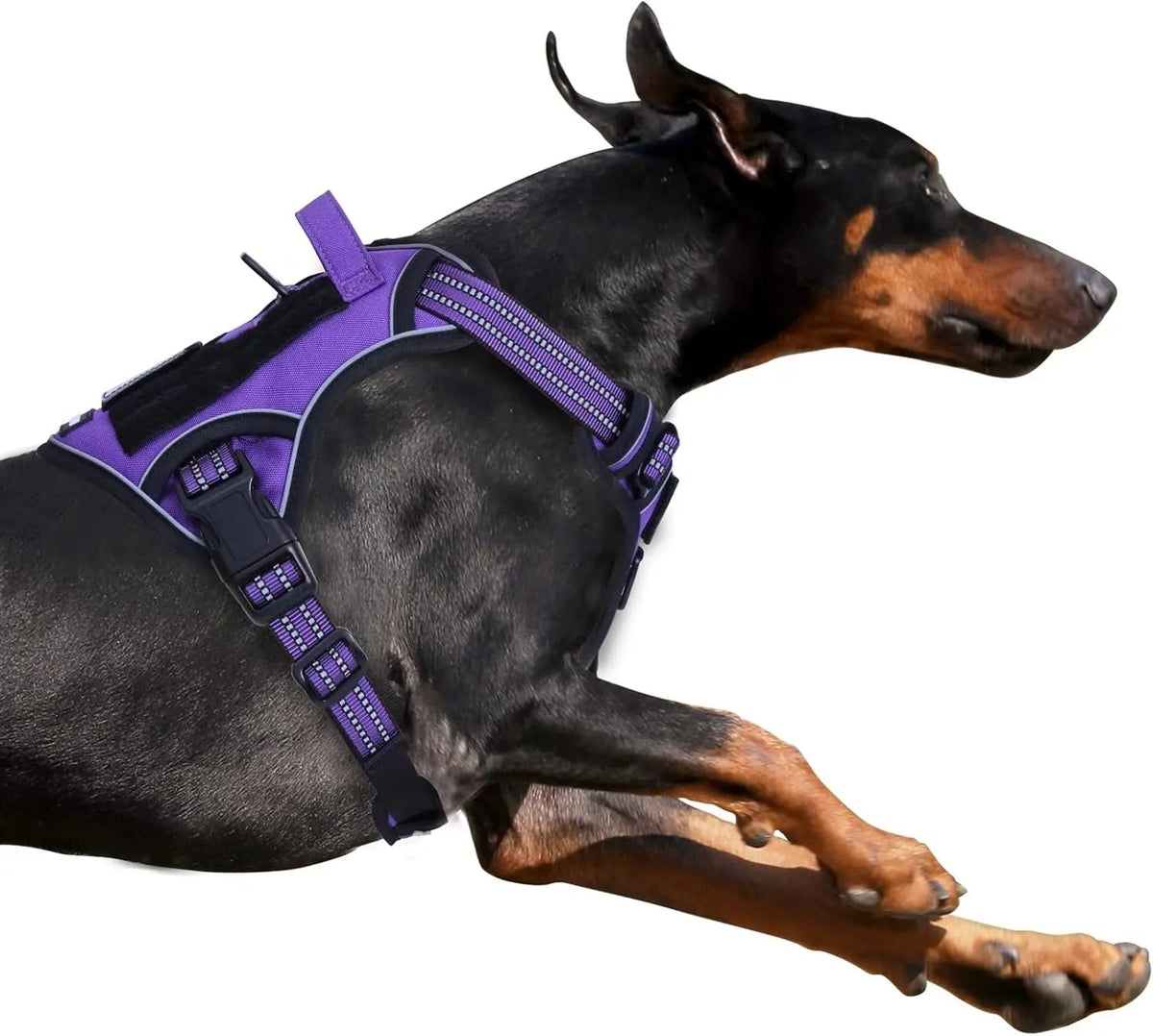 Tactical No-Pull Dog Harness with Handle and Reflective Trim