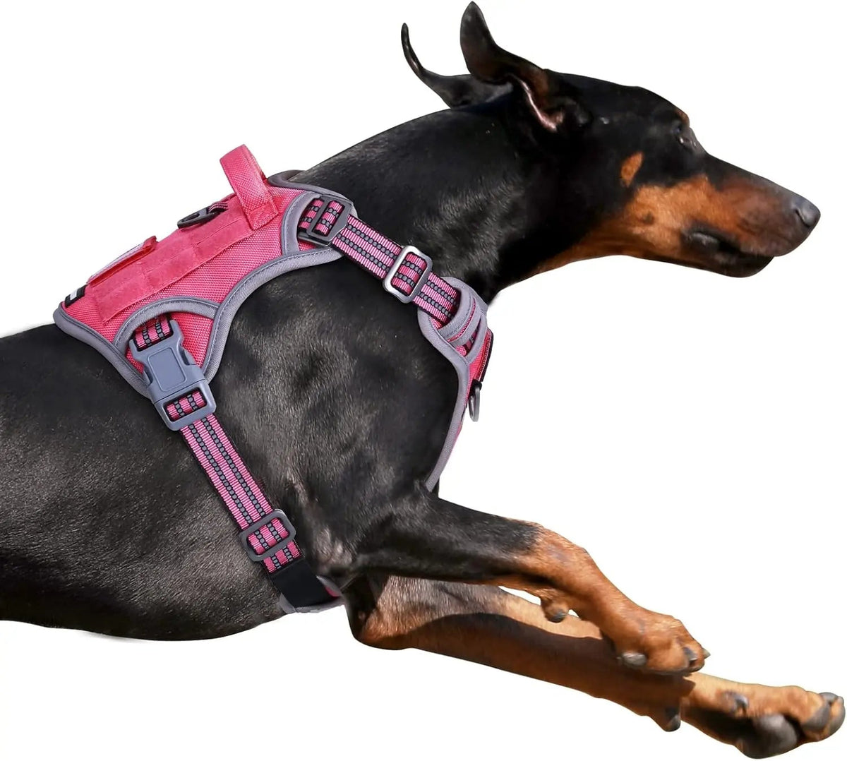 Tactical No-Pull Dog Harness with Handle and Reflective Trim