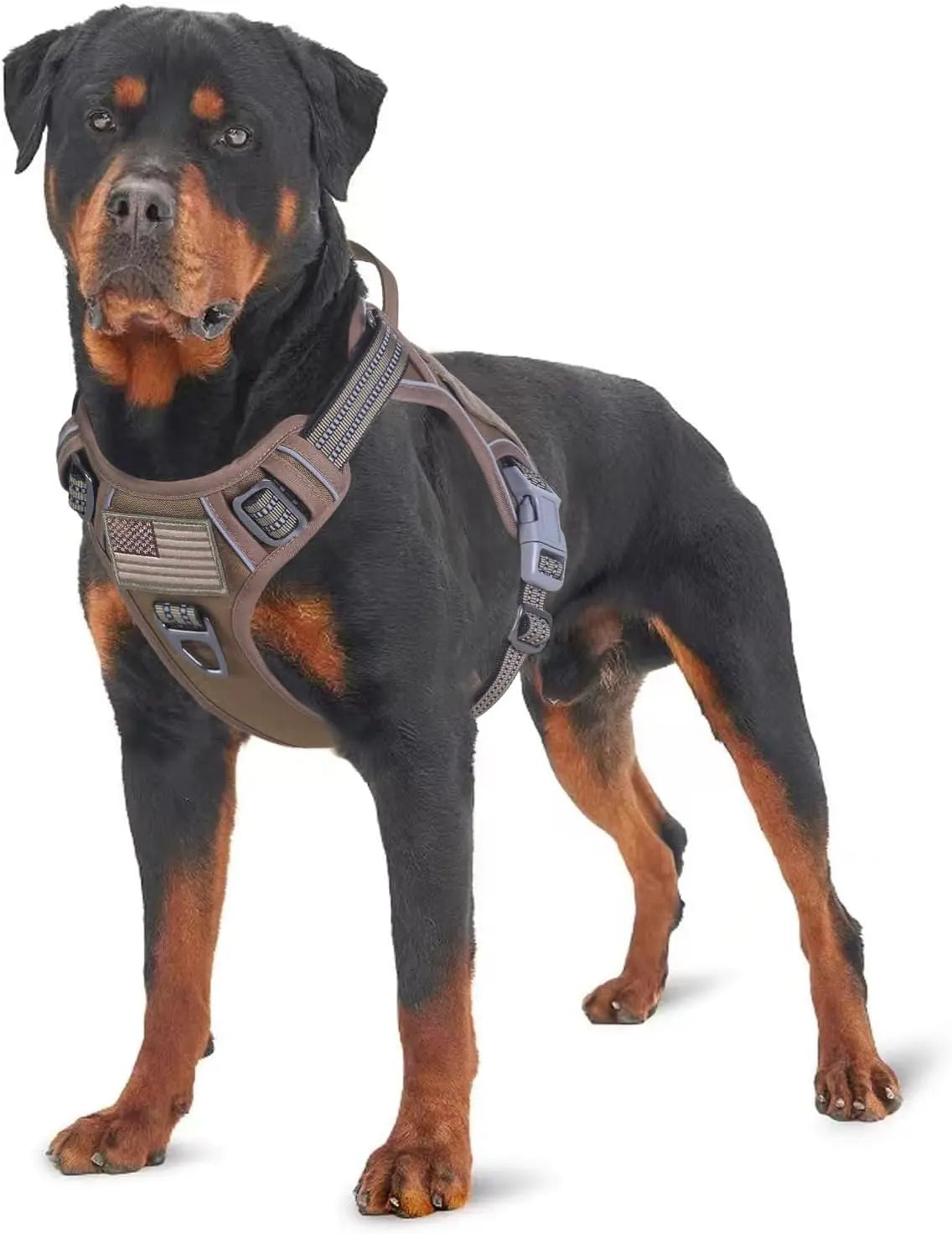 Tactical No-Pull Dog Harness with Handle and Reflective Trim