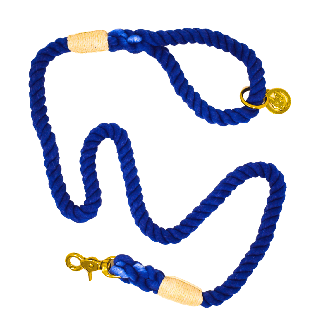 Tatum – Organic Cotton Rope Dog Leash, Blue