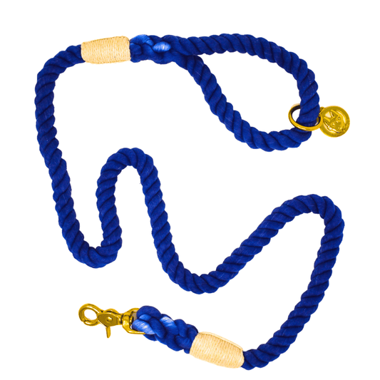 Tatum – Organic Cotton Rope Dog Leash, Blue