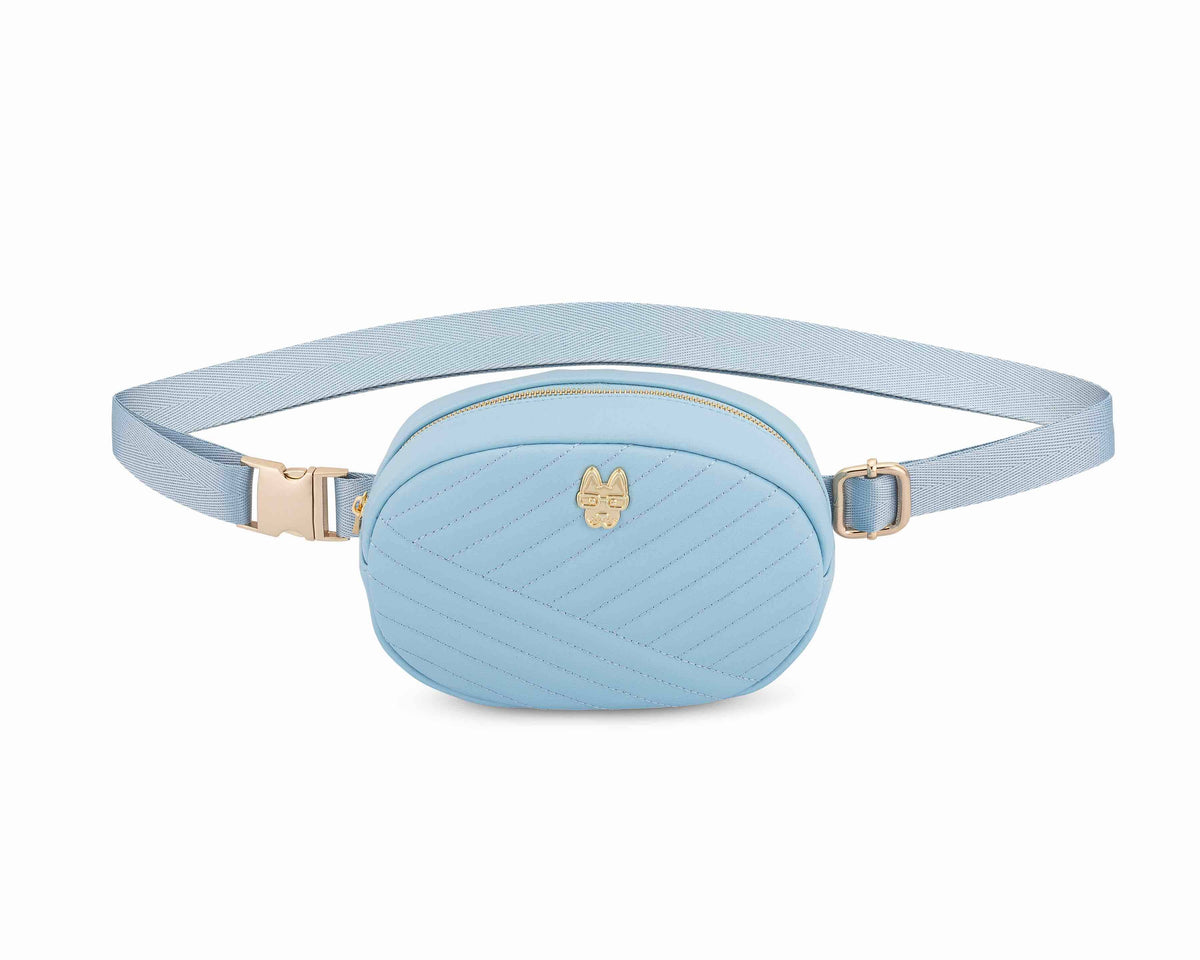 Teagan dog walking belt bag and treat pouch