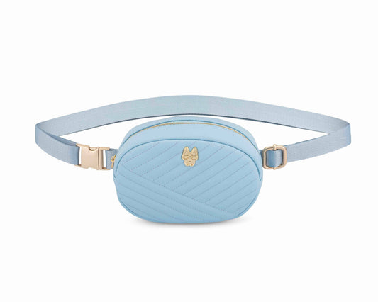 Teagan dog walking belt bag and treat pouch