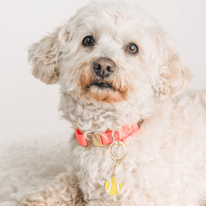 Tennis Ball Dog Collar Charm — additional photo 2