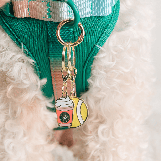 Puppuccino & Tennis Ball Dog Collar Charm Set — additional photo 2
