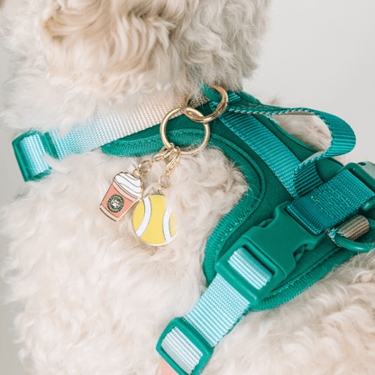 Puppuccino & Tennis Ball Dog Collar Charm Set — additional photo 3