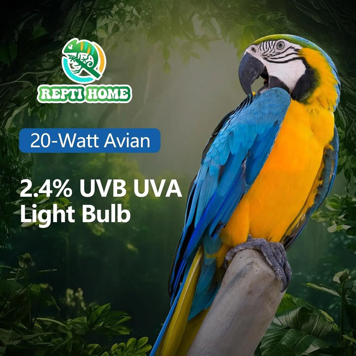 UVA UVB Bird Light Bulb 20W Full Spectrum Compact Lamp for Captive Birds