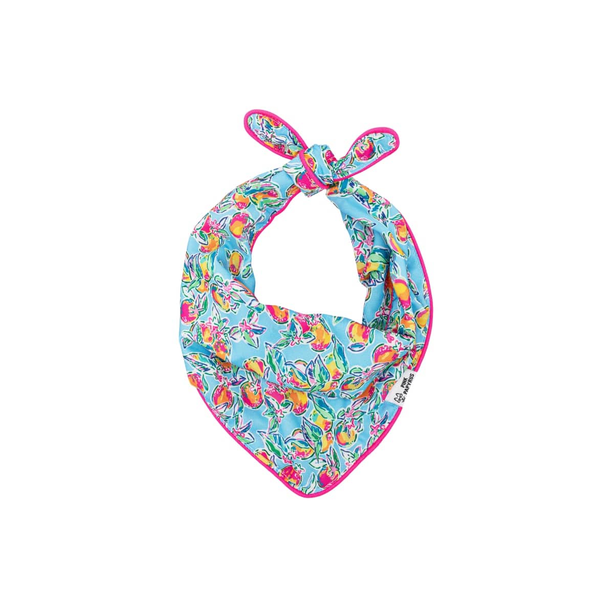 Tillie – Designer Dog Bandana, Reversible & No-Fold
