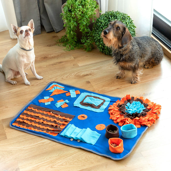 InnovaGoods