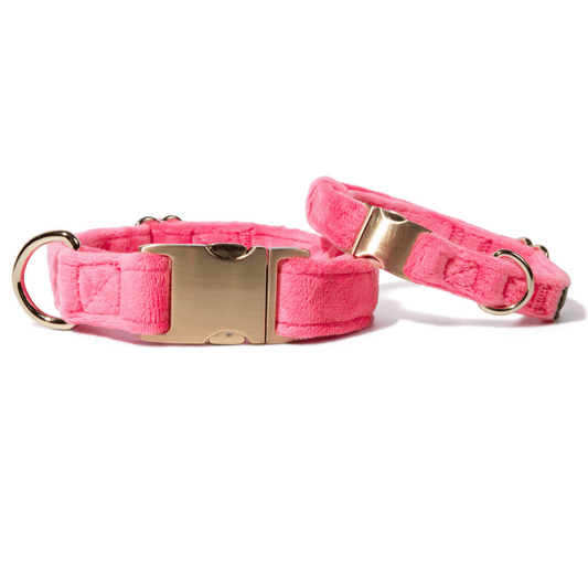 Valentina – Pink Dog Collar, Adjustable XS–L