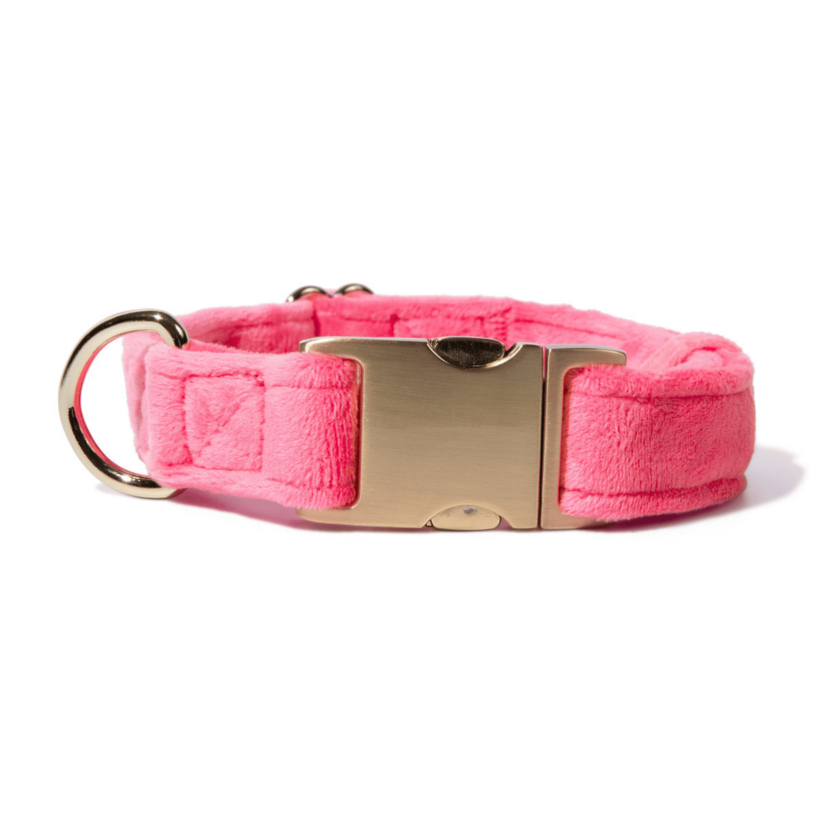 Valentina dog collar — additional photo 2