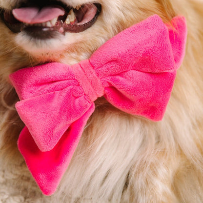 Valentina dog babe bow — additional photo 4