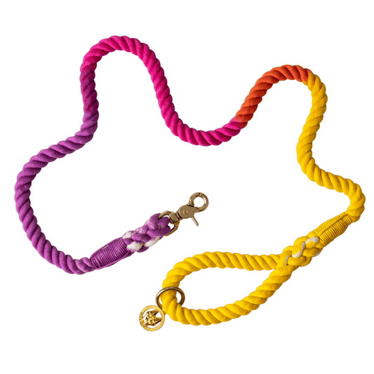 Roxy – Organic Cotton Rope Dog Leash, Ombre