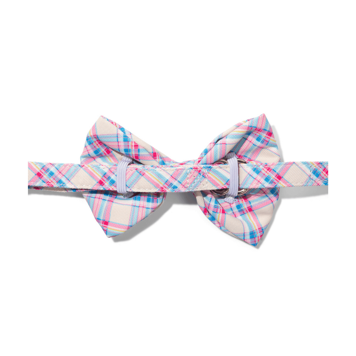 Whitley dog bow tie — additional photo 2