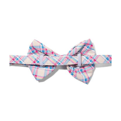 Whitley dog bow tie — additional photo 2