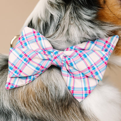 Whitley dog babe bow — additional photo 4
