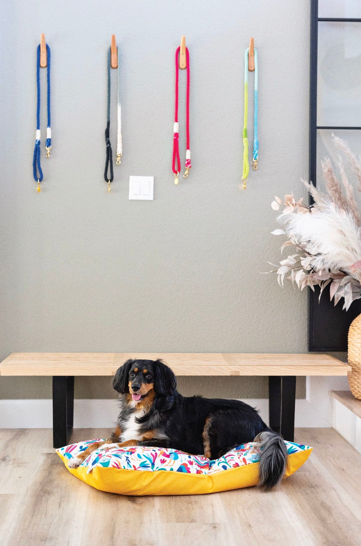 Yesenia dog bed — additional photo 4