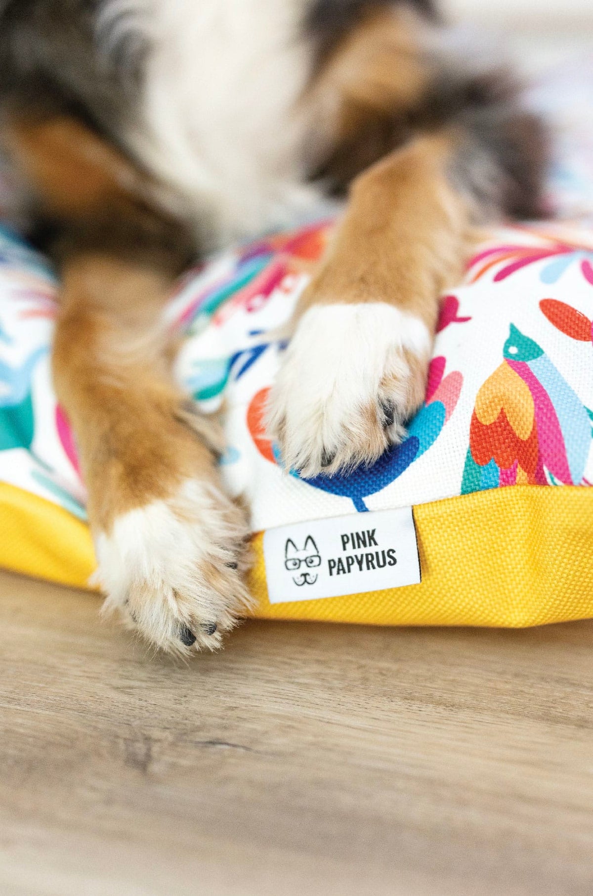 Yesenia dog bed — additional photo 5