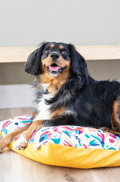 Yesenia dog bed — additional photo 6
