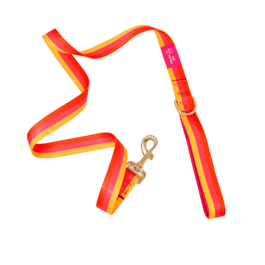 Zara – Pink Dog Leash 4ft & 6ft, Padded Handle