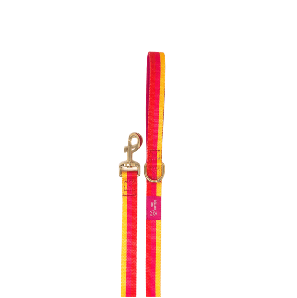 Zara dog leash — additional photo 2