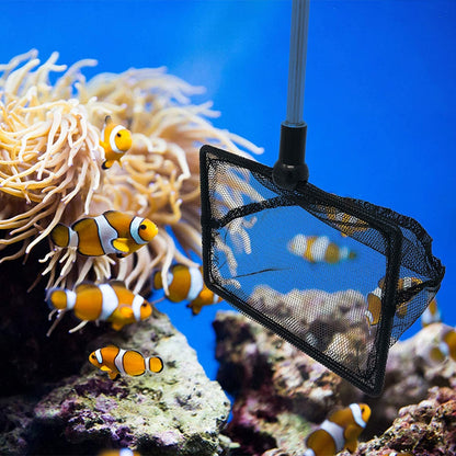 Fish Net with Extendable Handle, 2.5 in