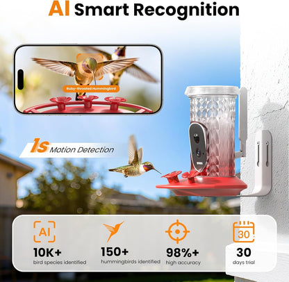 Hummingbird Feeder Camera Solar WiFi 2.5K HD AI Night Vision