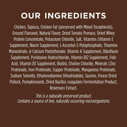 Grain-Free High Protein Dry Cat Food, 10 lb